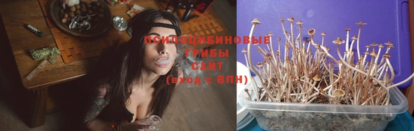 дживик Алзамай