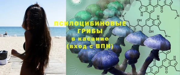 кокаин премиум Алексеевка